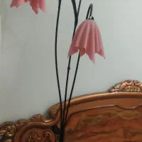 یا عدد شب خواب کارکرده ولی سالم
