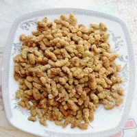 دیمه میباشد شیرین
