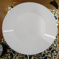 دیس گرد کاملا سالم و نو