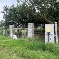 باغچه-برای-سرمایه-گذاری