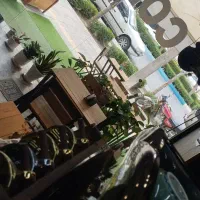باریستا کار خانم و آقا