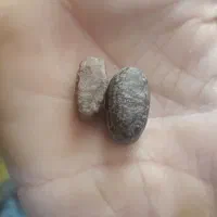 مهره