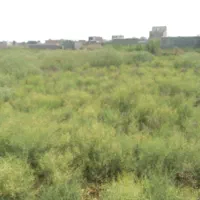 فروش زمین مسکونی