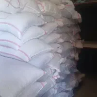 گندم بذری بوجاری شده