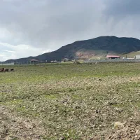 زمین-ویلایی-5000متر-اسپیران-آغاج-اوغلی