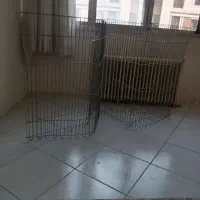 قفس سگ