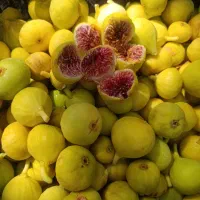 فروش میوه ارگانیک و تازه الموت