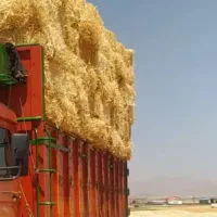 کاه گندم زیره