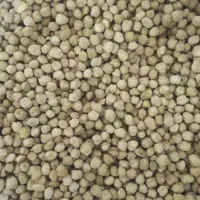 نخد اسمال تازه