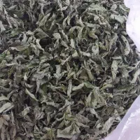 نعنا خشک و شوید خشک