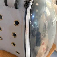کیف حمل سگ و حیوانات خانگی