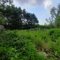 فروش زمین با سند تک‌برگ