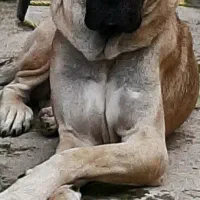 سراب. ماده
