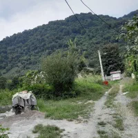 زمین-پای-کوه-لیالستان