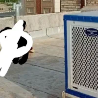 کولر آبی سلروزی ۶۰۰۰ مشهد دوام