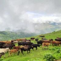 تور شمال ۲۲ الی ۲۷ شهریور