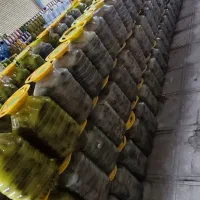 خیارشور متوسط