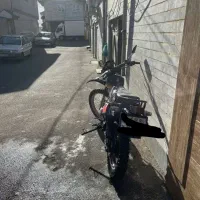 موتور تریلxl150مدل91