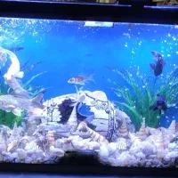 اکواریوم با لوازم