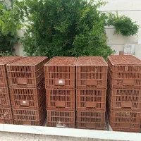 فروش سبد سایز بزرگ