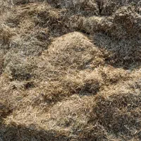 کاه عدس حدودا ۲ تن