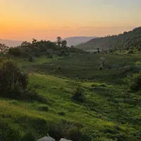 تورطبیعت گردی