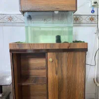 اکواریوم قشنگ زیبا