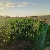 باغ تفرش