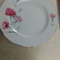 بشقاب گل میخک و گل سرخ میوه خوری