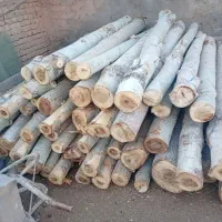 چوب باغ شما رو هم خریداریم