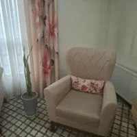 پرده چاپی پانچی