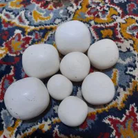 سنگ آسیاب