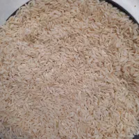 ۱۰ کیلو برنج طارم هاشمی محلی