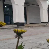 خشکشویی پاسارگاد واوان