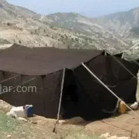 سیاه چادر