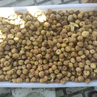 انجیر عالی