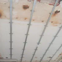 استخدام یک نفر کنافکار