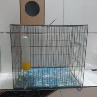 قفس پرنده خونه چوبی پرنده
