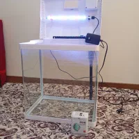 فروشی