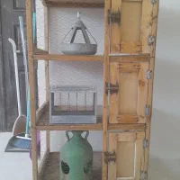 آقل پرنده