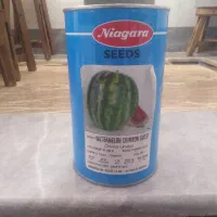 یک قوطی بذر هندوانه نیاگارا آمریکایی