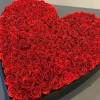 گل های ربانی
