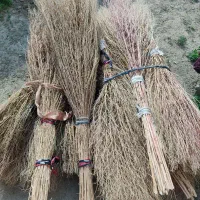 جارودستی