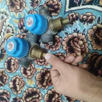 شیر کپسول سی نی جی