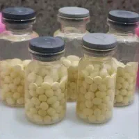 حلزون آچاتینا آلبینو