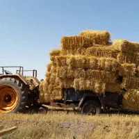 پرس گندم ابی