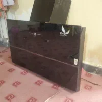 هود ویوا
