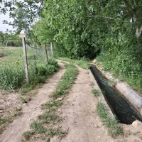 باغ مشجر روستای بالقلو