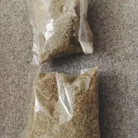 بابونه درجه یک شیرازی