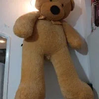 خرس خارجی ۲متری